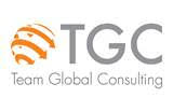 TEAM GLOBAL CONSULTING
